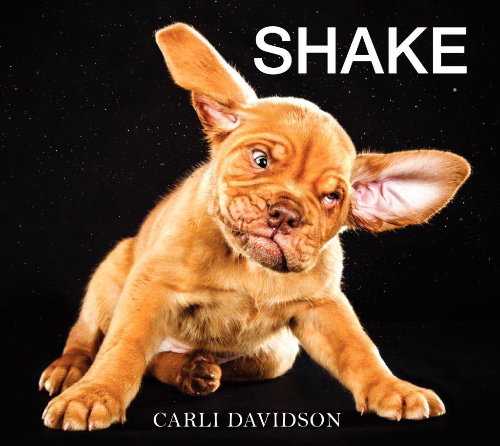 Shake-hc-c